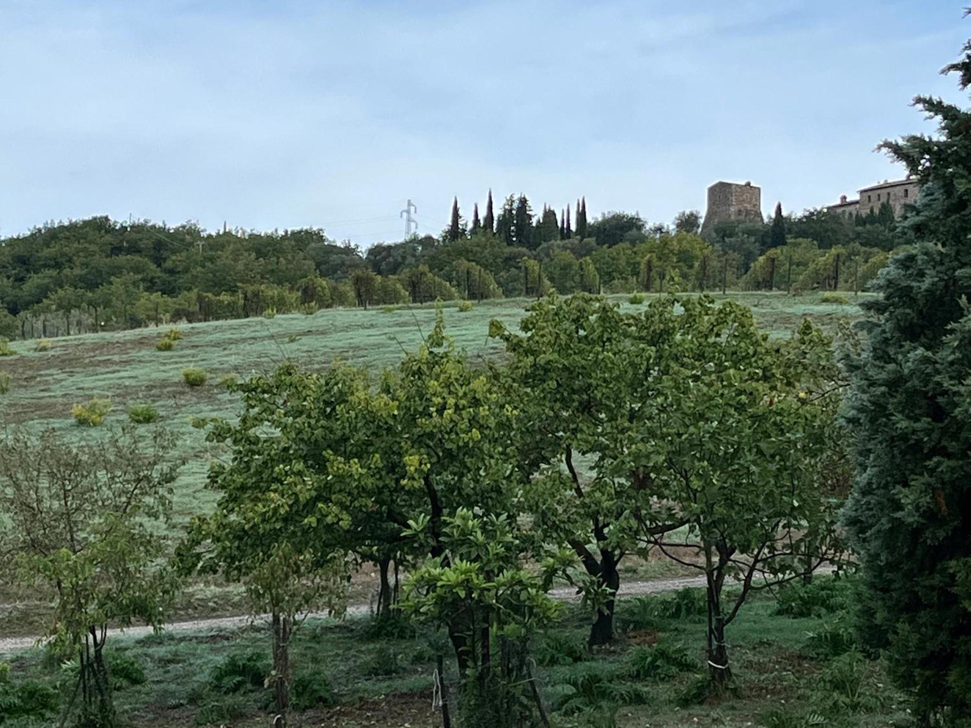 Agriturismo Le Querciole In Val D'Orcia Bagno Vignoni Kültér fotó