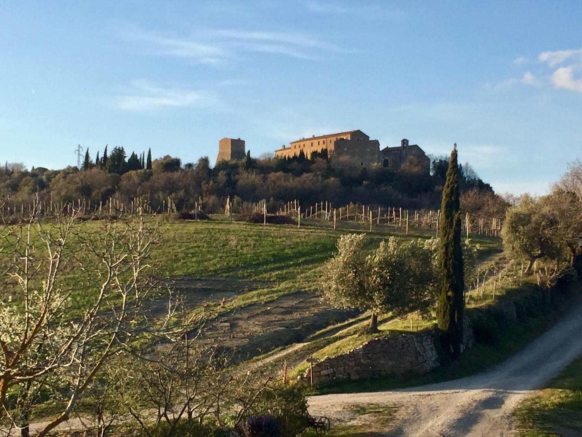 Agriturismo Le Querciole In Val D'Orcia Bagno Vignoni Kültér fotó