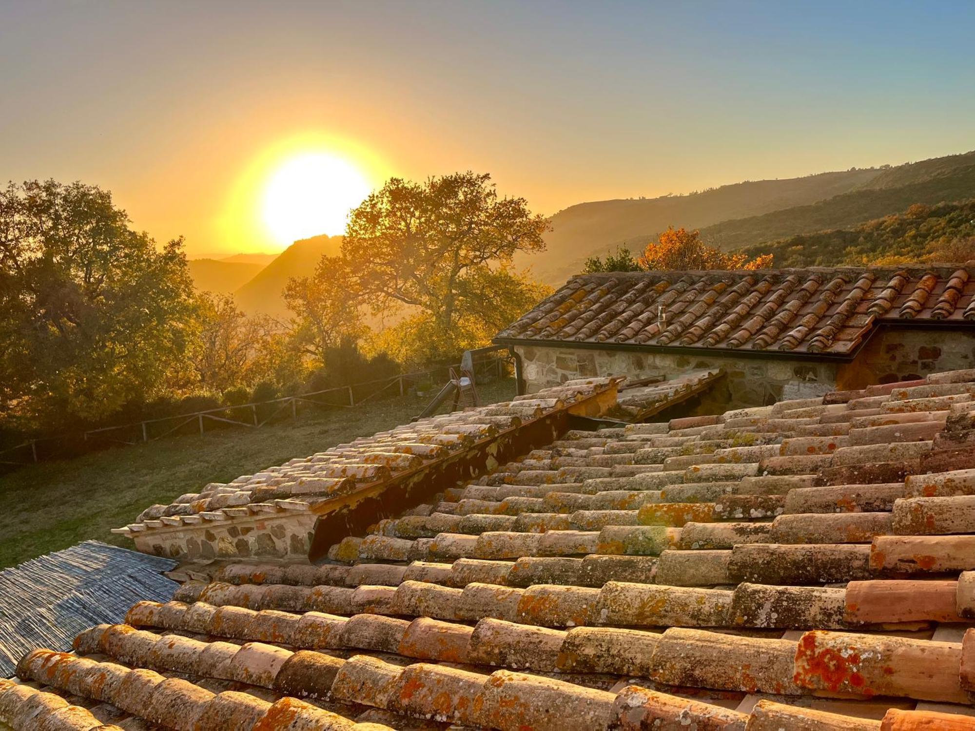 Agriturismo Le Querciole In Val D'Orcia Bagno Vignoni Kültér fotó