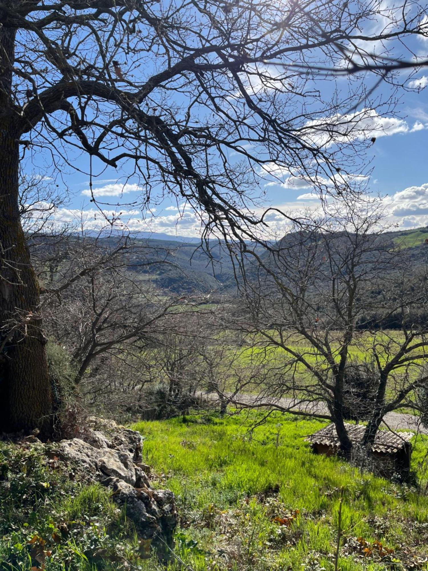 Agriturismo Le Querciole In Val D'Orcia Bagno Vignoni Kültér fotó